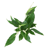 Разыгрываем стильные призы!